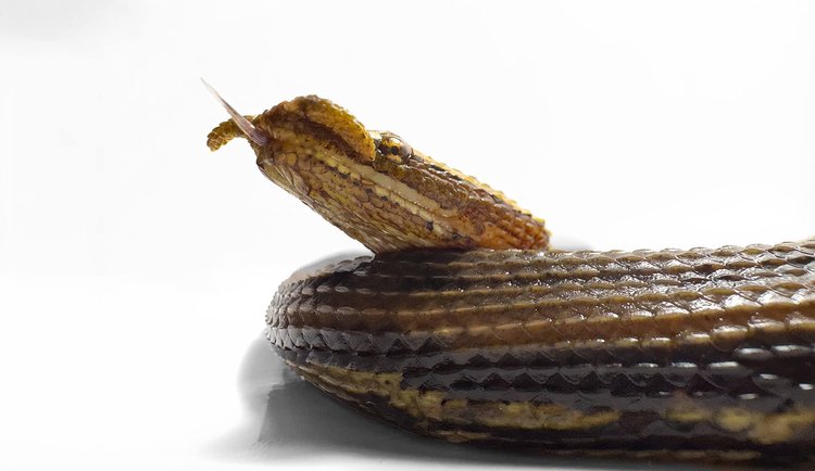 Credit: Myke clarkson